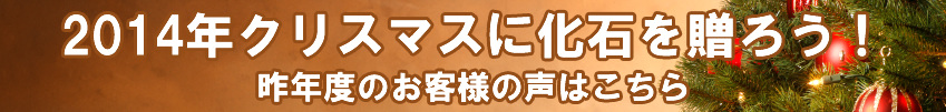 クリスマスプレゼントお客様の声画像