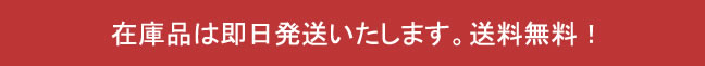 クリスマスに化石を贈ろう！