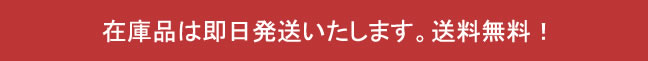 クリスマスに化石を贈ろう！