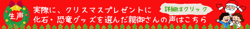 2014年クリスマスに化石を贈ろう！