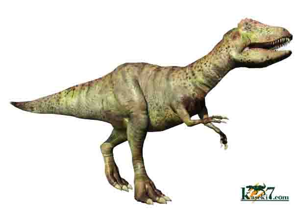 アロサウルス 画像