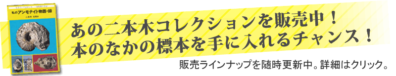 二本木認定コレクション販売中