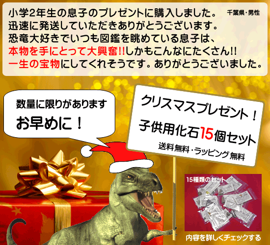 化石