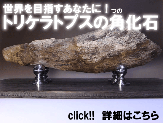 化石
