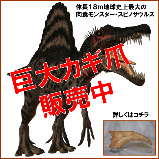 スピノサウルス