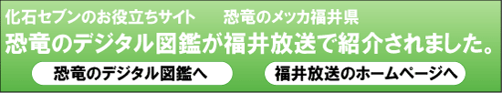 化石　通販