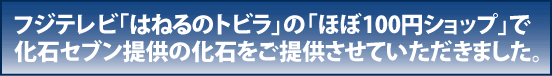 フジテレビはねるのトビラほぼ100円ショップにご提供