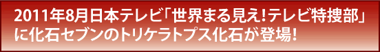 世界まる見え！テレビ特捜部に化石を提供