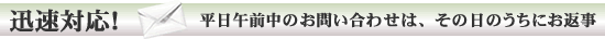化石　質問
