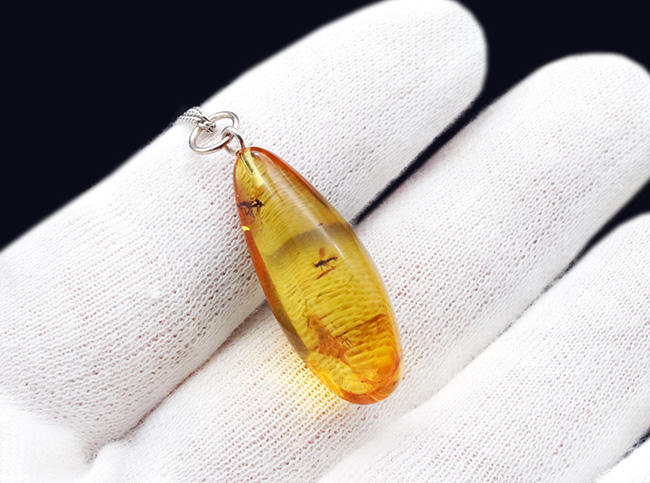 世界最古の宝石、厚みがあるのに透明感抜群。虫を内包したバルト海産琥珀（Amber）ペンダントトップ（シルバーチェーン、高級ジュエリーケース付き）（その4）