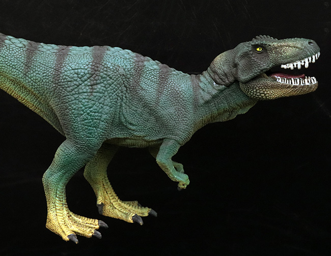 本物化石１個付き！ティラノサウルス恐竜フィギュア（アゴ可動式・送料無料・ラッピング無料）（その2）