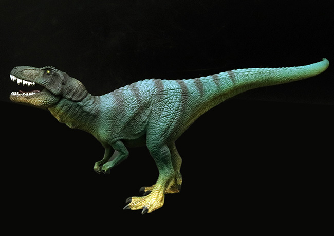 本物化石１個付き！ティラノサウルス恐竜フィギュア（アゴ可動式・送料無料・ラッピング無料）（その5）