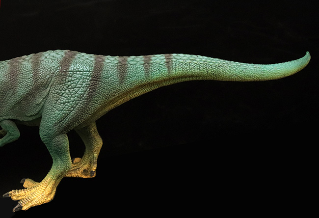 本物化石１個付き！ティラノサウルス恐竜フィギュア（アゴ可動式・送料無料・ラッピング無料）（その7）