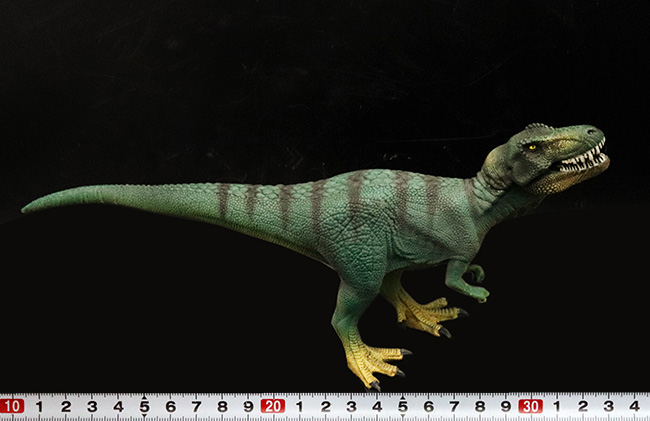 本物化石１個付き！ティラノサウルス恐竜フィギュア（アゴ可動式・送料無料・ラッピング無料）（その8）