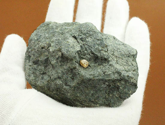 キンバーライトに接着されたダイアモンド原石。/Unknown【ot1039】