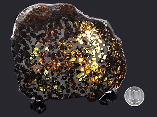 爛々と輝くかんらん石にご注目！厳選品！ハイクラス標本をお探し方に。２０１６年に発見された新しいパラサイト隕石、ケニヤ産パラサイト隕石（本体防錆処理済み）（その8）