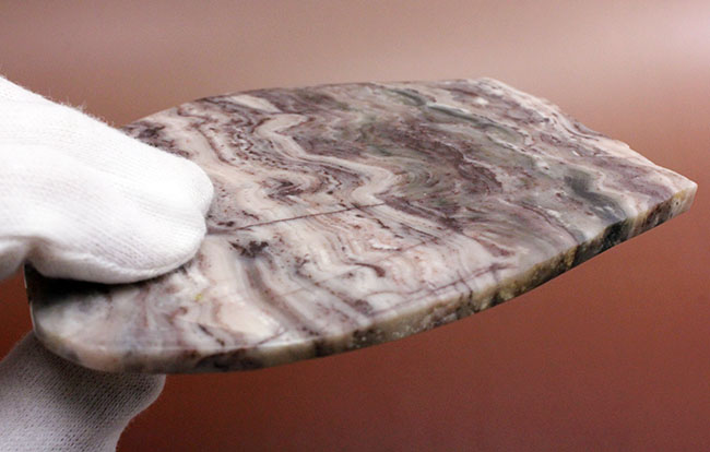 最古のストロマトライトの一つ、珍しい産地、米国ミシガン州産ストロマトライトの磨き標本（その12）