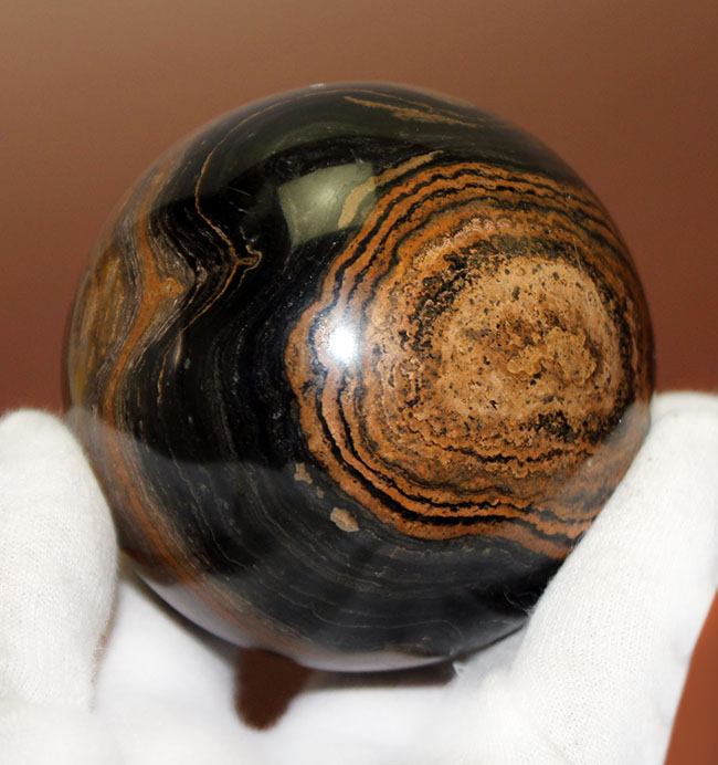 つるつるで超ビッグ！野球ボールサイズのストロマトライト。重さにして５８０グラム。（Stromatolite）（その2）