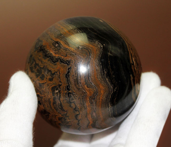 つるつるで超ビッグ！野球ボールサイズのストロマトライト。重さにして５８０グラム。（Stromatolite）（その4）