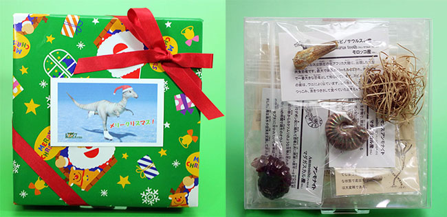 本物化石バラエティセットB 子ども用クリスマスプレゼントに最適!ラッピング無料!(スピノサウルス歯、光るアンモナイト、アンモナイト、珪化木、貨幣石、琥珀、ウミユリ、巻き貝)(その1)