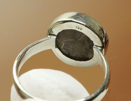 世界に一つのオリジナルリングはいかが？上品かつ濃い輝き、光るアンモナイトの指輪（男女兼用）（その6）