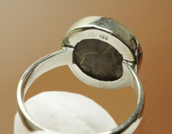 世界に一つのオリジナルリングはいかが?上品かつ濃い輝き、光るアンモナイトの指輪(男女兼用)(その6)