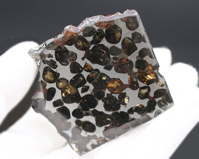 人気！最も美しい隕石と評されるパラサイト隕石（本体防錆処理済み）。黄金色に輝くかんらん石にご注目（その3）