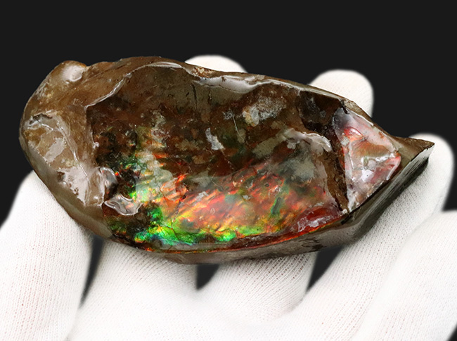 カナダ・アルバータ州の自然の美しさの象徴、鮮やかな赤と緑が映える、アンモライト（Ammolite）のピース（その3）