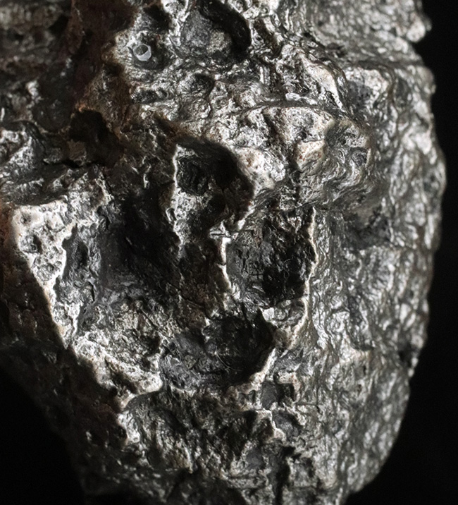 まれに見る美しいレグマグリップ、４５０グラムを超えるヘビー級の石体、世界的に有名な鉄隕石のシンボル的存在、カンポ・デル・シエロ（Campo del Cielo）の上質標本（その3）