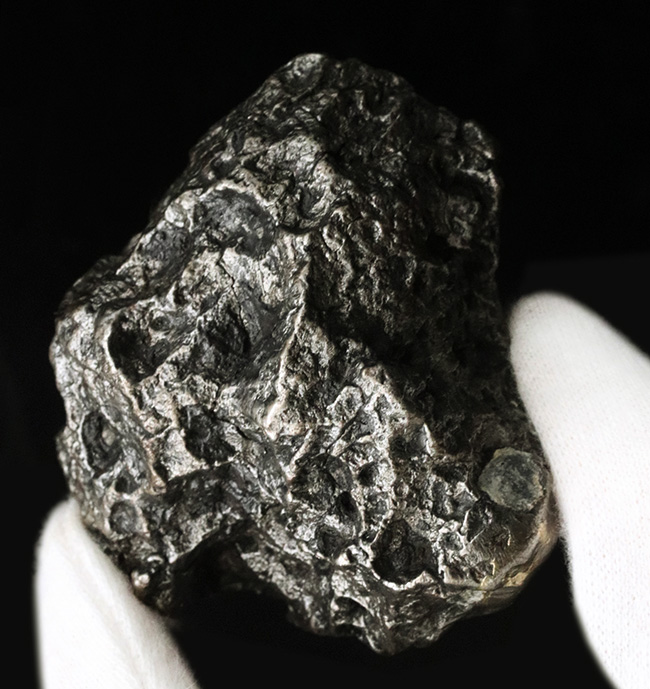まれに見る美しいレグマグリップ、４５０グラムを超えるヘビー級の石体、世界的に有名な鉄隕石のシンボル的存在、カンポ・デル・シエロ（Campo del Cielo）の上質標本（その4）