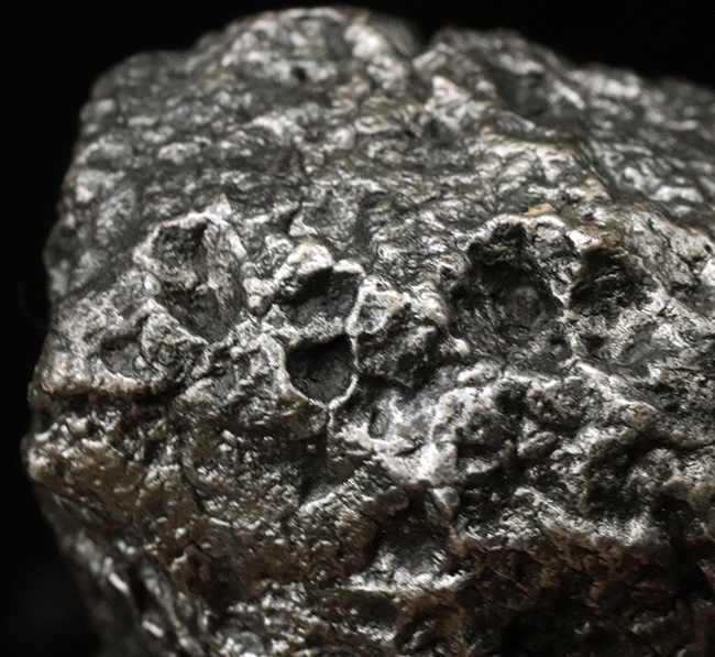 まれに見る美しいレグマグリップ、４５０グラムを超えるヘビー級の石体、世界的に有名な鉄隕石のシンボル的存在、カンポ・デル・シエロ（Campo del Cielo）の上質標本（その6）