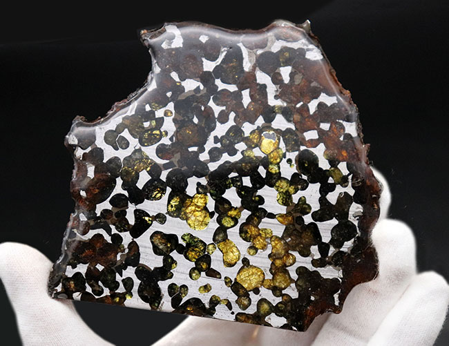ビッグサイズ！煌々と輝くカンラン石が保存されたケニヤ産パラサイト隕石（本体防錆処理済み）。世界で最も美しい隕石と評される美しきパラサイト隕石（その3）