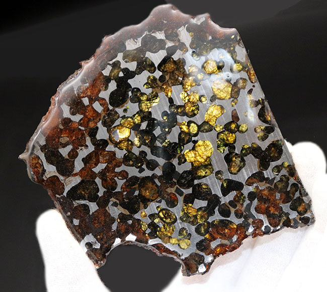 ビッグサイズ！煌々と輝くカンラン石が保存されたケニヤ産パラサイト隕石（本体防錆処理済み）。世界で最も美しい隕石と評される美しきパラサイト隕石（その7）
