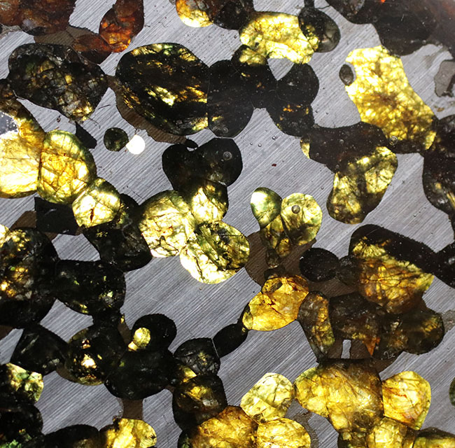 ビッグサイズ！煌々と輝くカンラン石が保存されたケニヤ産パラサイト隕石（本体防錆処理済み）。世界で最も美しい隕石と評される美しきパラサイト隕石（その9）
