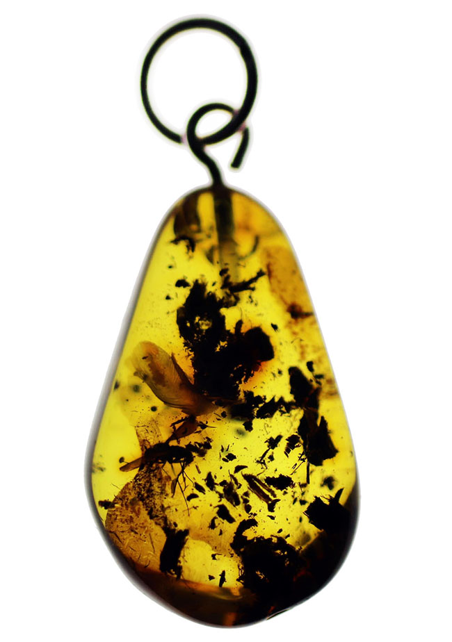 虫が内包されたバルト海産の琥珀を使ったペンダントトップ（シルバーチェーン、革紐、高級ジュエリーケース付）（その1）