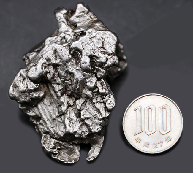 大きい、重い！最も知られた鉄隕石の一つ、アルゼンチンで採集されたカンポ・デル・シエロの大型ピース（その10）