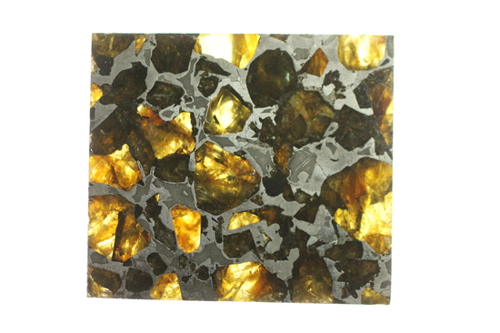 美麗！！希少な石鉄隕石、パラサイトのスライス標本！ブラヒンパラサイト（その10）