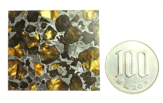 美麗！！希少な石鉄隕石、パラサイトのスライス標本！ブラヒンパラサイト（その12）