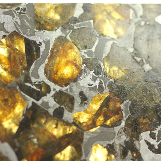 美麗！！希少な石鉄隕石、パラサイトのスライス標本！ブラヒンパラサイト（その2）