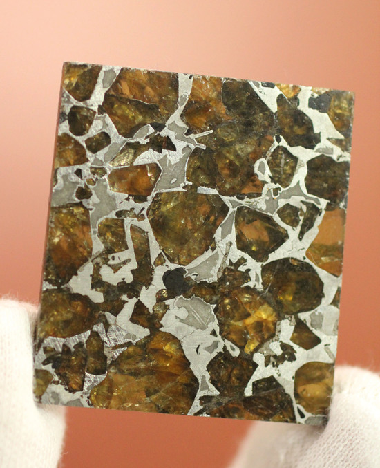美麗！！希少な石鉄隕石、パラサイトのスライス標本！ブラヒンパラサイト（その5）