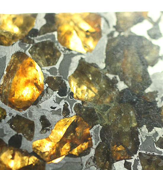 美麗！！希少な石鉄隕石、パラサイトのスライス標本！ブラヒンパラサイト（その6）
