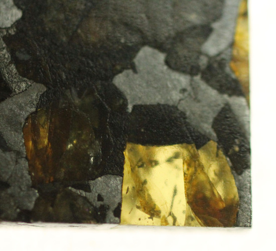 美麗！！希少な石鉄隕石、パラサイトのスライス標本！ブラヒンパラサイト（その7）