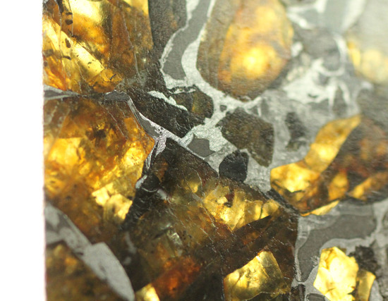 美麗！！希少な石鉄隕石、パラサイトのスライス標本！ブラヒンパラサイト（その8）