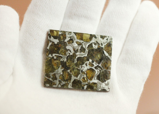 美麗！！希少な石鉄隕石、パラサイトのスライス標本！ブラヒンパラサイト（その9）