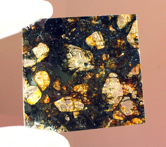 世界で最も美しい隕石とされる石鉄隕石、パラサイトに分類されるブラヒン隕石（専用ケース付き）（その5）