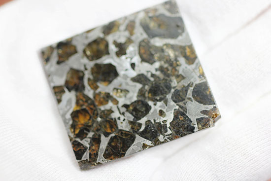 高品位！石鉄隕石パラサイトのスライス標本、ブラヒンパラサイト。カンラン石と鉄ニッケル合金から成る美しい模様の裏に隠された壮大なストーリー。（その10）