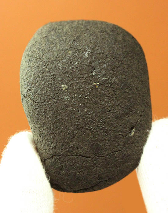 絶品！４年前に世界中の話題となったチェリャビンスク隕石。高級ガラスケースと高級ネームカード付き！/新生代（6500万年前 -- 現在）【ot1038】
