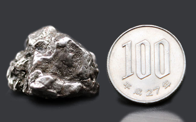 もっとも典型的な鉄隕石の一つ、アルゼンチン産のカンポ・デル・シエロ（その7）