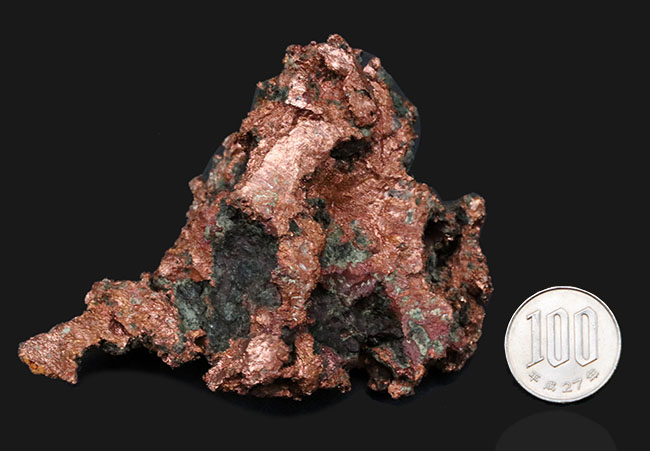 これが自然銅だ！お、重い・・・。米国ミシガン州のカレドニア鉱床産の自然銅（Native copper）（その8）