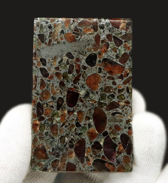 オリビンが美しく見える、薄い直方体型標本、ユニークな模様でコレクターの人気を集めている、ケニアンパラサイト（石鉄隕石）（その2）